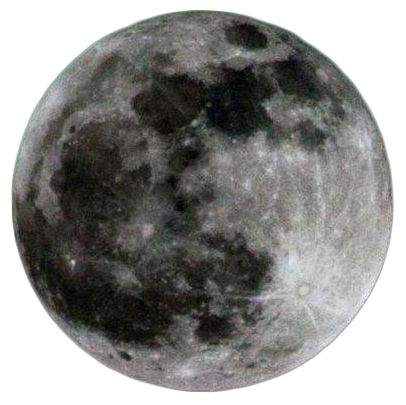 שנה חדשה – פנול חדש