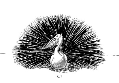 אינקטובר 2025